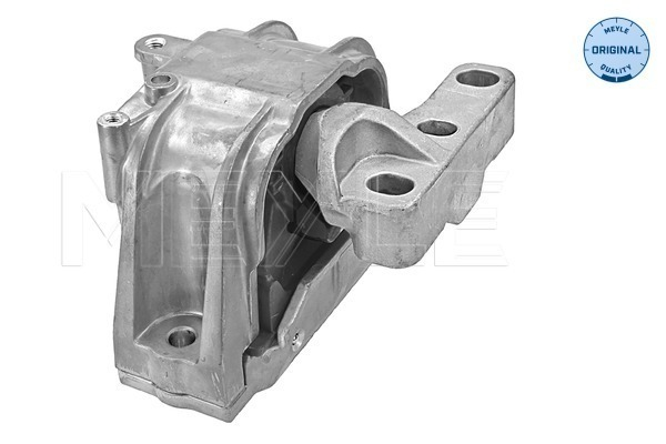 Suport motor dreapta (Hidraulic) AUDI A3; SEAT ALTEA, ALTEA XL, LEON, TOLEDO III; SKODA OCTAVIA II, SUPERB II; VW CADDY III, EOS, GOLF PLUS, GOLF V, JETTA III, TOURAN 2.0D dupa 2003 [1]