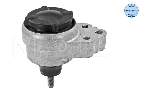 Suport motor dreapta (Hidraulic) FORD FOCUS 1.4/1.6 intre 1998-2005 [1]