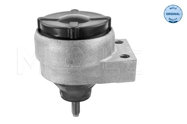 Suport motor dreapta (Hidraulic) FORD FOCUS, TOURNEO CONNECT, TRANSIT CONNECT 1.8/1.8D/2.0 intre 1998-2013 [1]
