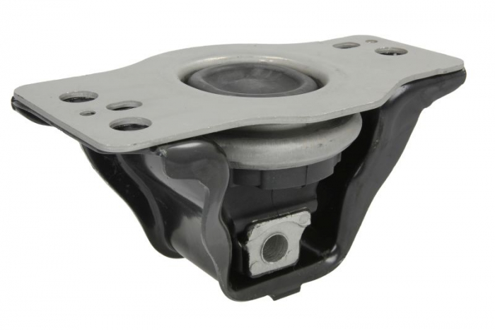Suport motor fata dreapta potrivit RENAULT GRAND SCENIC II, MEGANE I, MEGANE II, SCENIC II 1.9D/2.0/2.0D 01.02- [2]