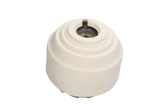 Suport motor fata (Hidraulic) MERCEDES S (W220), S (W221) 2.8-3.7 intre 1998-2013 [1]