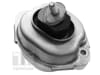 Suport motor fata stanga/dreapta, hidraulic potrivit BMW X5 (E53) 3.0D 04.01-09.06 [2]