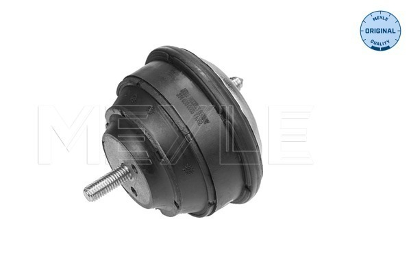 Suport motor (Hidraulic) BMW Seria 3 (E36), 3 (E46), 3 (E90), 3 (E92), 3 (E93), Z3 (E36), Z4 (E85), Z4 (E86) 2.0-4.0 intre 1992-2013 [1]