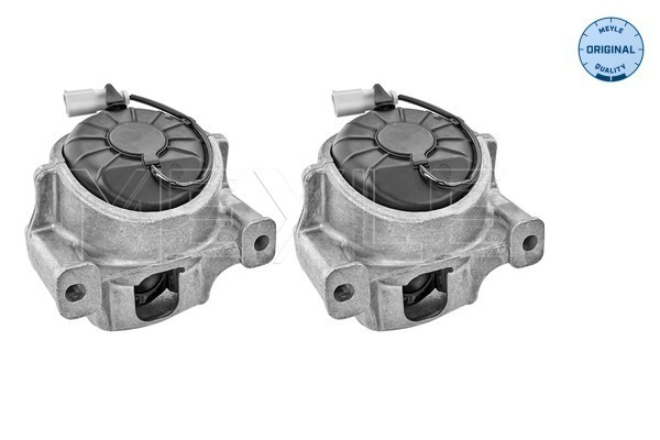 Suport motor kit AUDI A4, A4 ALLROAD, A5, Q5 2.7D/3.0D intre 2007-2017 [2]
