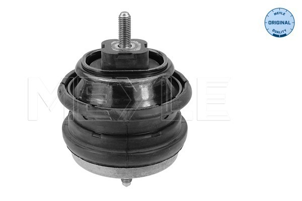 Suport motor stanga (Hidraulic) BMW Seria 5 (E39) 2.5D/3.0D intre 1998-2004 [1]