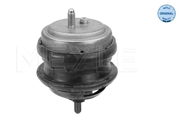 Suport motor stanga (Hidraulic) BMW Seria 5 (E39) 2.5D/3.0D intre 1998-2004 [2]