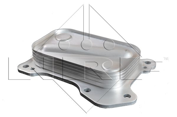 Termoflot radiator ulei (70x24x114) FIAT 500, 500 C, DOBLO, DOBLO CARGO, FIORINO, GRANDE PUNTO, IDEA, PALIO, PANDA, PUNTO, PUNTO EVO, QUBO; LANCIA MUSA, YPSILON; OPEL AGILA, COMBO, COMBO TOUR, CORSA C [1]