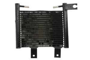 Termoflot radiator ulei HYUNDAI SANTA F?Ã¢ I (SM) NRF 31165 [3]