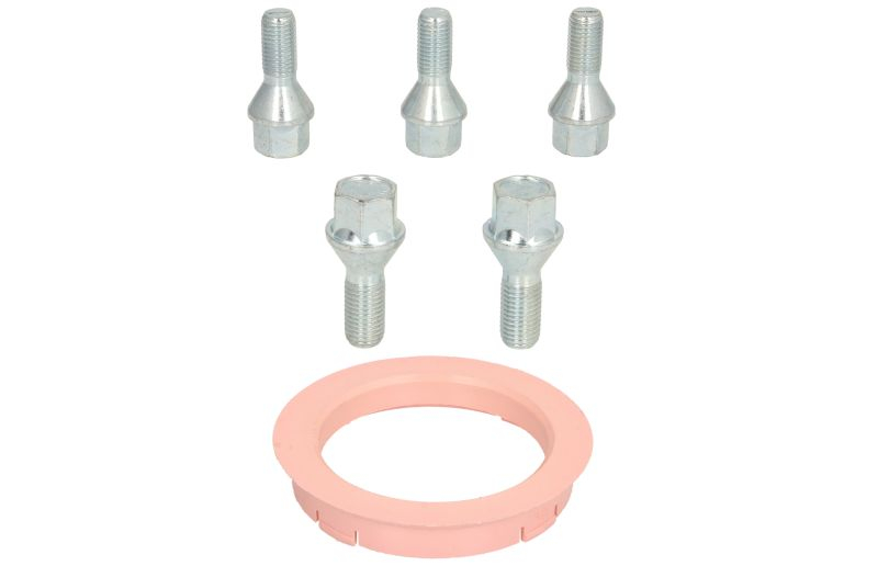 Trusa montaj janta aliaj (FZ20 74.1-60.1; B B13 60° con M14x1,5 L28; 1 kit / 1 roata - 5 orificii) [1]