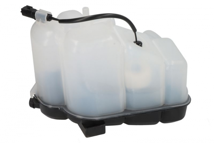Vas expansiune racire potrivit FORD GALAXY II, GALAXY MK II, MONDEO IV, S-MAX 05.06-06.15 [2]