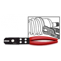 Clesti - Cleste special 240mm