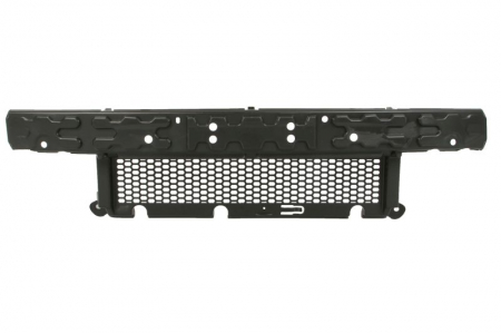 Armatura bara fata (absorbant) CHRYSLER VOYAGER / GRAND VOYAGER intre 2007-2011 [1]