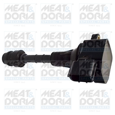 Bobina inductie - Bobina inductie potrivit INFINITI FX, G; NISSAN 350Z, ALTIMA, MAXIMA / MAXIMA QX V, MURANO I, MURANO II, QUEST, TEANA I, TEANA II 3.5 08.01-