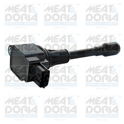 Bobina inductie potrivit INFINITI FX, QX70; NISSAN ALTIMA, JUKE, MICRA IV, MURANO II, NOTE, QASHQAI I, SENTRA V, TIIDA, X-TRAIL I, X-TRAIL II; RENAULT KOLEOS I 1.2-5.0 06.02- [3]