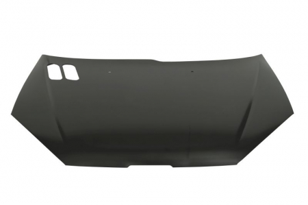 Capota - Capota motor ( galvanizata ) PEUGEOT 206 intre 1998-2009