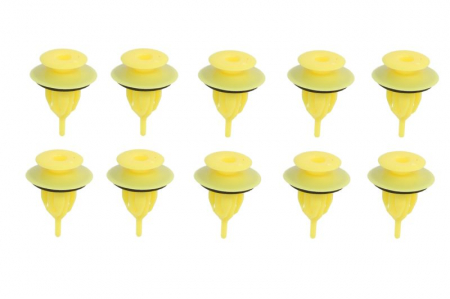 Piese Auto - Clips, acoperire decorativa si protectie potrivit LEXUS CT ZWA10 12.10-12.16