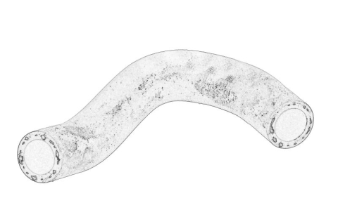 Piese Auto - Cuplaj conducta lichid racire potrivit CHEVROLET CRUZE, ORLANDO, TRAX; OPEL ADAM, ASTRA J, ASTRA J GTC, CASCADA, CORSA D, CORSA E, INSIGNIA A, MERIVA B, MOKKA / MOKKA X, ZAFIRA C 1.4/1.4LPG 12.09-