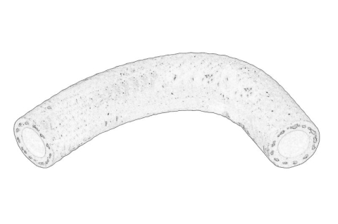 Furtun combustibil potrivit MERCEDES C T-MODEL (S203), C (W203), CLK (A209), CLK (C209), CLS (C219), E T-MODEL (S211), E (W211) 01.05-12.10