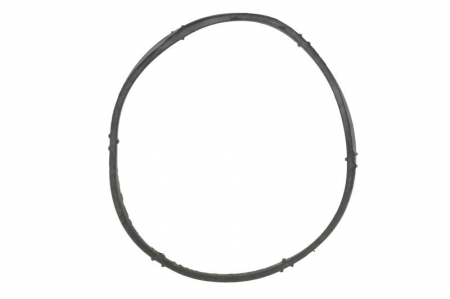 Elemente admisie aer - Garnitura, Carcasa galerie admisie potrivit AUDI A3; SEAT ALHAMBRA, ALTEA, ALTEA XL, CORDOBA, CORDOBA VARIO, IBIZA II, IBIZA III, LEON, TOLEDO II, TOLEDO III; SKODA FABIA I, OCTAVIA I 1.6-1.9D 12.95-
