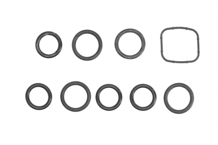 Piese Auto - Garnitura galerie admisie kit PEUGEOT / CITROEN HDI mot.DV4TED4/DV6TED4 1.4/1.6 12/03-
