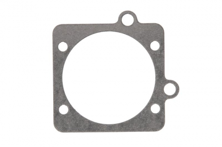 Elemente admisie aer - Garnitura, galerie admisie potrivit CHEVROLET ASTRA, VECTRA, VIVA; OPEL ASTRA G, ASTRA H, ASTRA H GTC, CORSA C, MERIVA A, OMEGA B, SIGNUM, TIGRA, VECTRA B, VECTRA C, VECTRA C GTS 1.8/2.2 10.95-02.15