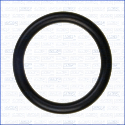 Garnituri motor - Garnitura galerie admisie potrivit DS DS 5; CITROEN C4 GRAND PICASSO II, C4 II, C4 PICASSO II, C5 III, C8, DS4, JUMPY II; FORD C-MAX II, FOCUS III, GALAXY II, GALAXY MK II 2.0D/2.0DH 03.06-