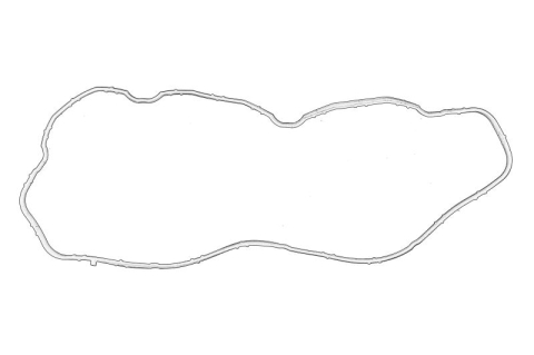 Garnituri - Garnitura galerie admisie potrivit IVECO DAILY V, DAILY VI F1AE3481A-F1AGL411Y 09.11-