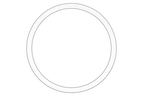 Garnituri - Garnitura pompa combustibil (inel O) potrivit DS DS 4 II; CITROEN BERLINGO, BERLINGO MULTISPACE, BERLINGO/MINIVAN, C3 AIRCROSS II, C3 II, C3 III, C3 PICASSO 1.2/1.6/1.6H 01.13-