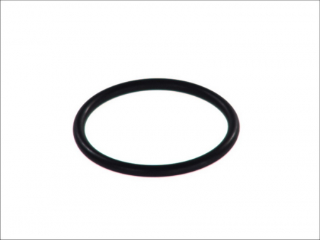 Piese Auto - Garnitura/Simering carcasa termostat potrivit OPEL ASCONA C, ASTRA F, ASTRA F/KOMBI, ASTRA G, ASTRA G/KOMBI, CALIBRA A, fataERA A SPORT, KADETT E, KADETT E COMBO 1.6-2.0 09.81-04.05