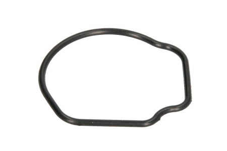 Garnituri motor - Garnitura termostat potrivit AUDI A7; CHEVROLET AVEO; CITROEN NEMO, NEMO/MINIVAN; FIAT 500, 500 C, DOBLO, DOBLO/MINIVAN, GRANDE PUNTO, IDEA, PALIO, PANDA 1.3D/2.0/2.0H 06.03-