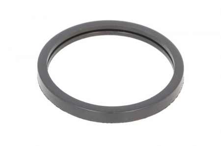 Garnituri motor - Garnitura termostat potrivit LEXUS CT; LOTUS ELISE; MINI (R50, R53); SUBARU TREZIA; SUZUKI SWACE; TOYOTA ALLION II, AURIS, AVENSIS, C-HR, COROLLA, IQ, ISIS 1.4D-2.0D 09.00-