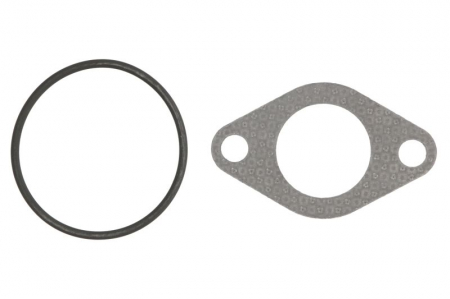 Piese Auto - Garnitura valvei EGR potrivit AUDI A3; SEAT CORDOBA, IBIZA III; SKODA FABIA I, FABIA I PRAKTIK, OCTAVIA I; VW NEW BEETLE, POLO 1.9D 01.00-09.10