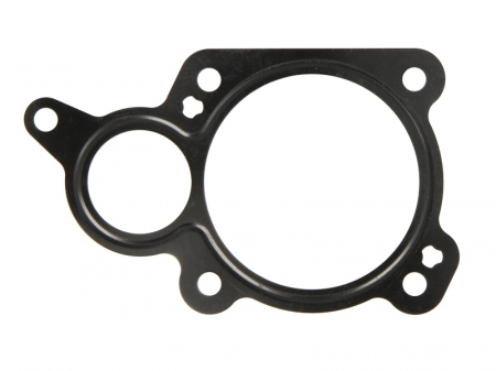 EGR - Garnitura valvei EGR potrivit AUDI A4 B6 2.0 07.02-12.04