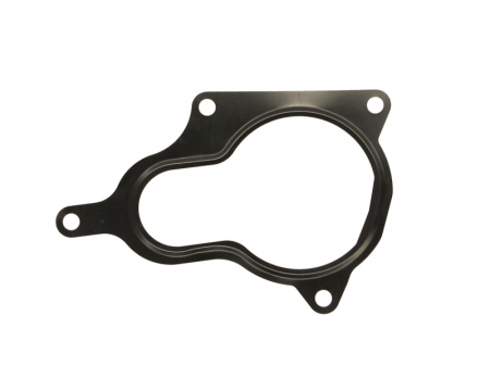 EGR - Garnitura valvei EGR potrivit AUDI A4 B7, A6 C6 2.0D 07.04-08.11