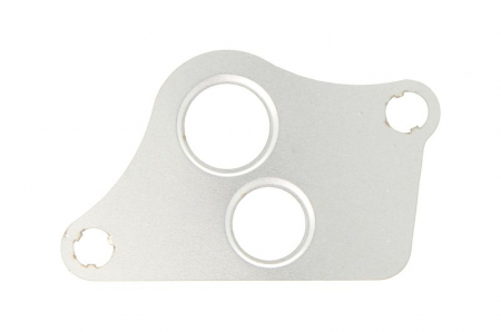 Piese Auto - Garnitura valvei EGR potrivit CHEVROLET VECTRA; FIAT CROMA; OPEL ASTRA G, SPEEDSTER, VECTRA B, VECTRA C, VECTRA C GTS, ZAFIRA A 2.2 06.00-12.10