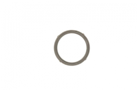 EGR - Garnitura valvei EGR potrivit IVECO DAILY IV, MASSIF; MULTICAR FUMO, M31 (M31) 3.0D 05.06-