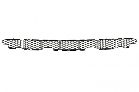 Grile - Grila bara fata (inferior, plastic, argintiu) BMW X5 (E53) intre 2003-2006