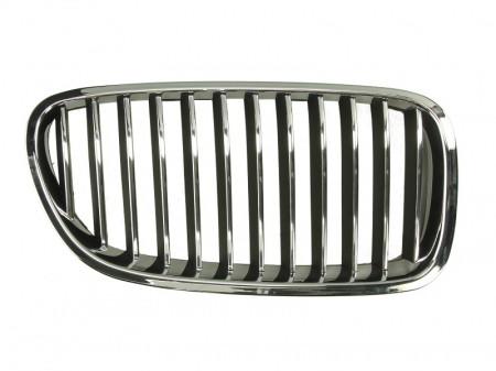 Grile - Grila radiator BMW Seria 5 (F10, F18) dupa 2009