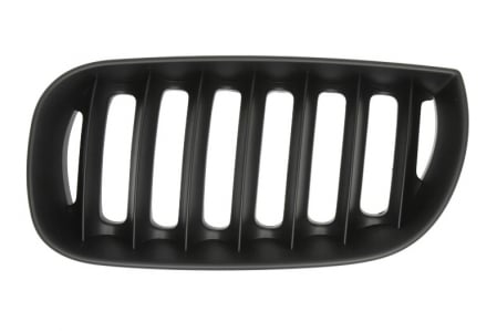 Grila radiator fata stanga negru BMW X3 intre 2004-2011 [1]
