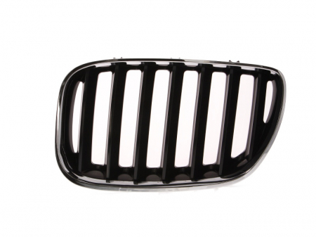 Grile - Grila radiator fata stanga negru/crom BMW X5 E53 intre 2003-2006