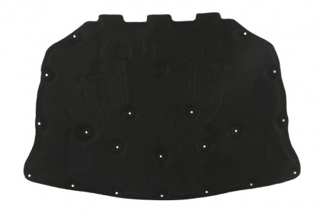 Capota - Izolare fonica capota motor potrivit BMW Seria 5 F10, 5 F11 2009-2017
