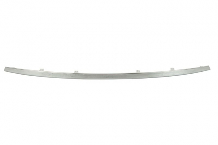 Caroserie - Ornament bara Fata potrivit NISSAN LEAF 11.10-