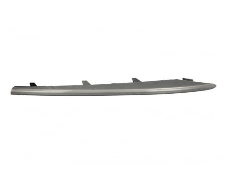 Ornament Grila radiator fata stanga inferior, crom BMW X5 intre 2007-2010 [1]