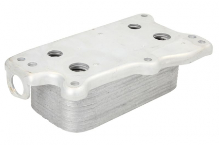 Radiator ulei termoflot (cu garnitura) potrivit MERCEDES C (CL203), C T-MODEL (S203), C T-MODEL (S204), C (W203), C (W204), CLC (CL203), CLK (A209), CLK (C209), CLS (C219), E (A207), E (C207) 2.5-5.5  [1]