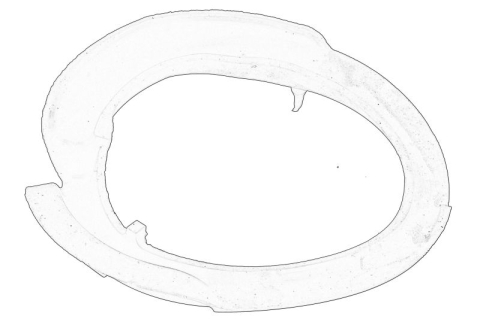 Piese Auto - Saiba arc Fata/Inferior (Dreapta/Stanga) potrivit FORD C-MAX II, FOCUS III, GRAND C-MAX, KUGA II 04.10-