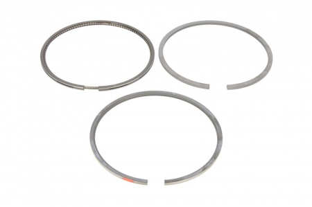 Piston - Segment piston (set) (100mm (STD) 2,5-2,5-4) 1004-4; 1006.6 potrivit URSUS 3000; CLAAS RANGER; FIATALLIS TL; JCB 500; KALMAR DCD; KOMATSU PC; LANDINI LEGEND; MANITOU MVT 1004-4-A6.3544