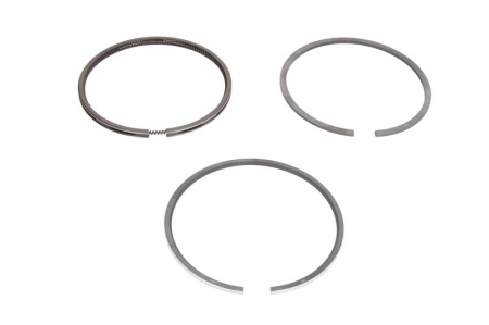 Piston - Segment piston (set) (100mm (STD) 2,5-2,5-5,5) potrivit FIAT 1000, 400, 500, 600, 900; FIATAGRI 1000 8035.02-8065.04.200 01.68-12.86