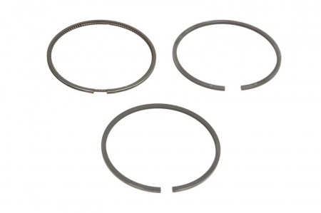 Piston - Segment piston (set) (100mm (STD) 2,5-4) potrivit MASSEY FERGUSON 200, 3000, 400, 5000, 600, 6000, 8000 1006-6-A4.318 01.78-12.12