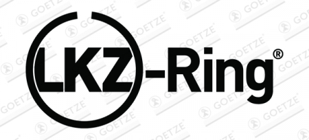 Segment piston (set) (130mm (STD) 2,5-3,5-3,5) potrivit DAF CF, XF 106, XF II, XG, XG+; IRIZAR I3, I4, I6, I8; VAN HOOL EX, TX MX-13303-MX340 05.10- [2]