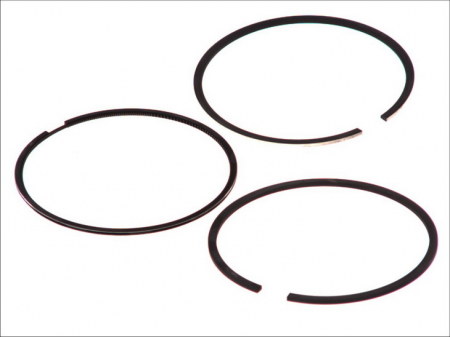 Piston - Segment piston (set) (94,4mm (STD) 2,5-2-2,5) potrivit FIAT; IVECO potrivit MULTICAR FUMO, M26; IVECO DAILY II, DAILY III, POWER DAILY; RVI B, MASCOTT, MESSENGER 8140.23-S9W702 04.84-